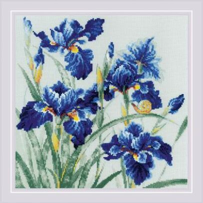 Kit Points Comptés « Iris »
