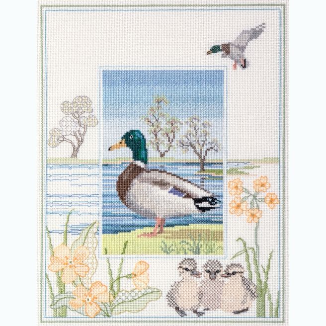 Kit Points Comptés "Canard Mallard"
