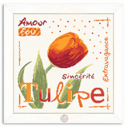 Tulipe